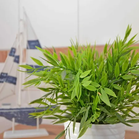 Haus Mowe - Apt. 05 아파트 *